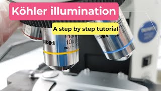 Köhler illumination  A step by step tutorial [upl. by Wendin]