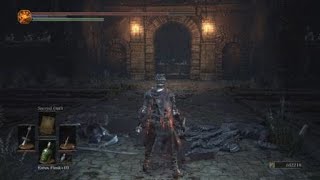 DS3 BSS Ng7 Abyss watchers [upl. by Siblee]