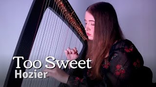 Hozier  Too Sweet Harp Cover  Sheet Music [upl. by Refinne235]