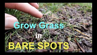 How to seed BARE SPOTS in your LAWN [upl. by Tteltrab487]