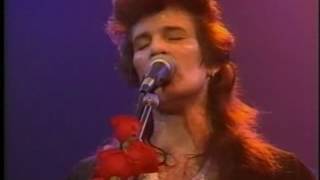 Mink DeVille  Angel Eyes [upl. by Eahc]