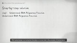 What does RNA polymerase do [upl. by Savihc563]