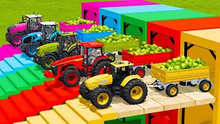 CLAAS vs LAMBORGHINI vs DEUTZ FAHR vs FENDT TRACTORS BATTLE WITH GREEN APPLES  Farming Simulator 22 [upl. by Yahc]