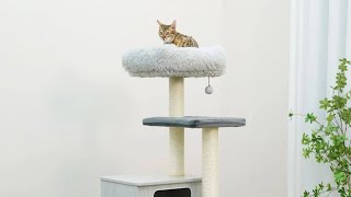 How to setup All in one cat tree from costco with Vivian and violet [upl. by Ahsratal]