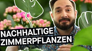 Monstera Bogenhanf amp Co Wie ökologisch sind die Zimmerpflanzen im Urban Jungle [upl. by Ronen]