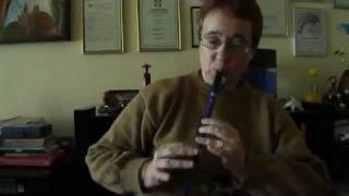 quotDanny Boyquot on Sweetone Tinwhistle by Marcia Contador [upl. by Nevyar]