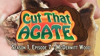 Cut That Agate  Episode 7  McDermitt Petrified Wood [upl. by Teplitz293]