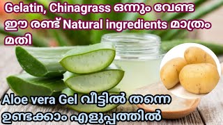 Aloe Vera Gel  കറ്റാർവാഴ ജൽ വീട്ടിൽ ഉണ്ടാക്കാം  How to make Aloe Vera Gel at home [upl. by Turk582]