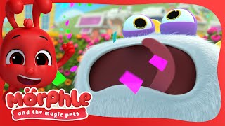 Gobblefrog ate My Friend  🔴 Morphle and the Magic Pets 🔴 Colors For Kids 🌈🏳️‍🌈 [upl. by Sikleb]