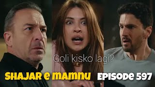 Shajar e mamnu episode 597 explained in Urdu Hindi [upl. by Padegs]