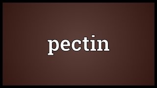 Pectin Meaning [upl. by Eltsirc]