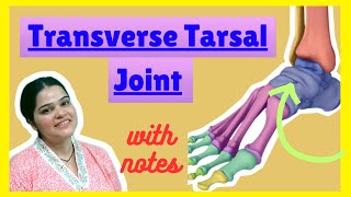 Transverse tarsal joint biomechanics in detail  with notes [upl. by Ardath]