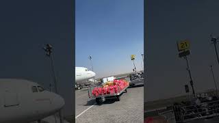 flight sharjah airport airarabia flying adventure explorearmenia adventure serbiatourism [upl. by Erv]