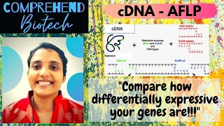 cDNA  AFLP  cDNA Amplified Fragment Length Polymorphism [upl. by Eilyk]