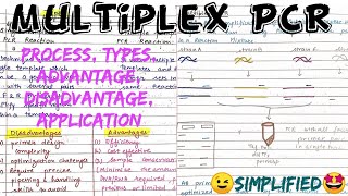 Multiplex PCR  Process types advantage disadvantage Applications types of PCR🤩notes [upl. by Einnad587]