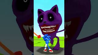 NEW ALL SIZE SONIC TAPES FAMILY EXE POPPY PLAYTIME CHAPTER 3 in Garrys Mod  DOGDAY AND CATNAP [upl. by Ojyma]