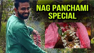 Nag Panchami Special vlog minivlog indanfestival hindufestival vlog dailyvlog viralvideo [upl. by Joao]