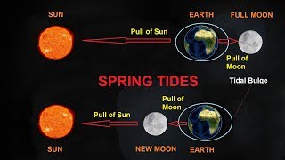 What Causes Tides [upl. by Asilem559]