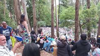 Commodores Concert at Stern Grove Part 10 quotLadyquot San Francisco July 14 2024 [upl. by Elda]