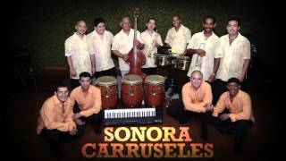 SONORA CARRUSELES  La Negra Baila Sabroso [upl. by Attiuqahs]