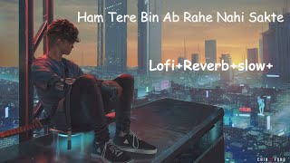 Ham Tere Bin Ab Rahe Nahi Sakte lofi Reverb Slowed song [upl. by Shani852]