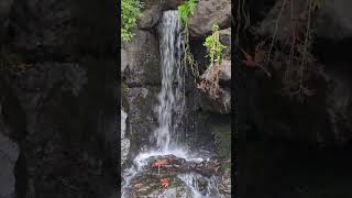 Waterfall at Tumwater falls Park October 2024 [upl. by Tikna260]