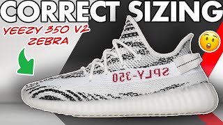 Sizing Guide for Yeezy 350 Zebra 2022  Watch before ordering the Yeezy 350 v2 Zebra shorts [upl. by Oinotnaocram]