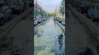 Delft Netherlands delft netherlands netherlandstourism europe nature shorts viralvideo [upl. by Silrac]