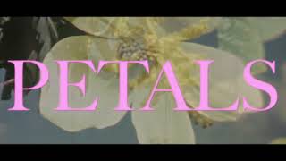 VOILÀ  Petals Official Lyric Video [upl. by Cates]