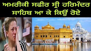 American Ambassador Crying and Shock to Visit Darbar Sahib  GLORY OF Darbar Sahib Pakistani React [upl. by Brechtel]