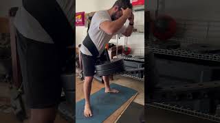 Fringe Sport Belt Squat squats [upl. by Edana]