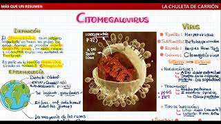 CITOMEGALOVIRUS TODO LO QUE NECESITAS SABER [upl. by Lebaron729]