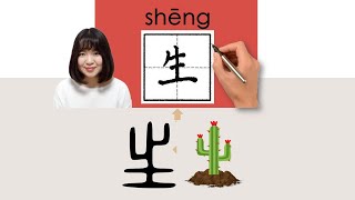 【NEW HSK2】生shenggive birth toHow to Pronounce amp Write Chinese Word amp Character newhsk2 [upl. by Piwowar460]