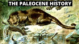 The Evolution Of The Paleocene Era [upl. by Aek]