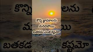 Saha Telugu quotations telugumotivationalquotations quotes [upl. by Holds892]