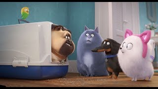 The Secret Life of Pets Story Book [upl. by Acinehs]