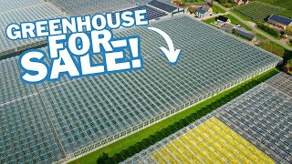 FOR SALE Venlo greenhouse 800 m 26663 m² [upl. by Nairehs965]