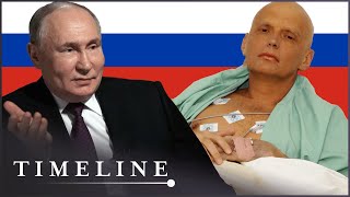 Why Putin Ordered Alexander Litvinenkos Murder  Hunting The KGB Killers  Timeline [upl. by Nnaarual272]