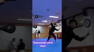 Taekwondo word class remix music musica dj combatsport funk dojowwkf taekwondo karate [upl. by Etnauj378]