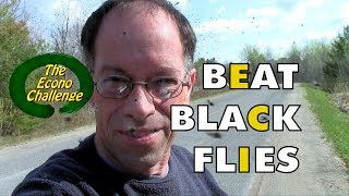 Black Fly  How To Protect Yourself In The Wilderness [upl. by Gies]