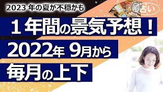 【占い】2022年９月から１年間（2023年夏まで）の日本の景気は？ 各月の上下（2022823撮影） [upl. by Vallie191]