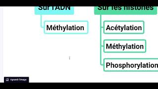 Epigénétique QCM [upl. by Kassey970]