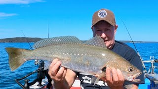 Learning to Catch Jewfish Lake Macquarie [upl. by Bone]