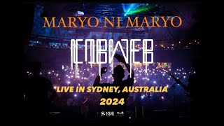 Cobweb  Maryo Ni Maryo Live In Sydney Australia 2024 [upl. by Mikihisa21]