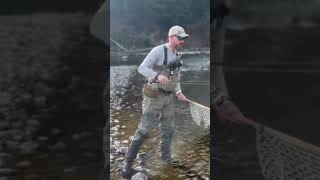 Bitterroot Cut flyfishing troutfishing trout [upl. by Johanna562]