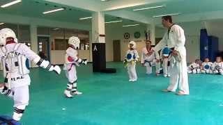 taekwondo bremen Kampftranig [upl. by Marlow]