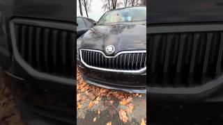 ✅ Skoda Octavia  Жест  автознімеччини автопідбір skodaoctavia skoda [upl. by Furgeson]