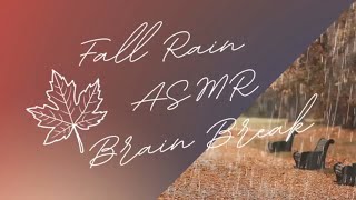 🍁Fall Calm Brain Break 😌🍂 [upl. by Yarised]