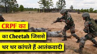 इस CRPF के cheetah से थर थर कांपते है Terrorist 🇮🇳 [upl. by Ettezel]