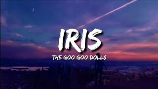 The Goo Goo Dolls  Iris Lyrics [upl. by Reinaldo]